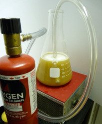 A picture of Oxygenating a Yeast Starter