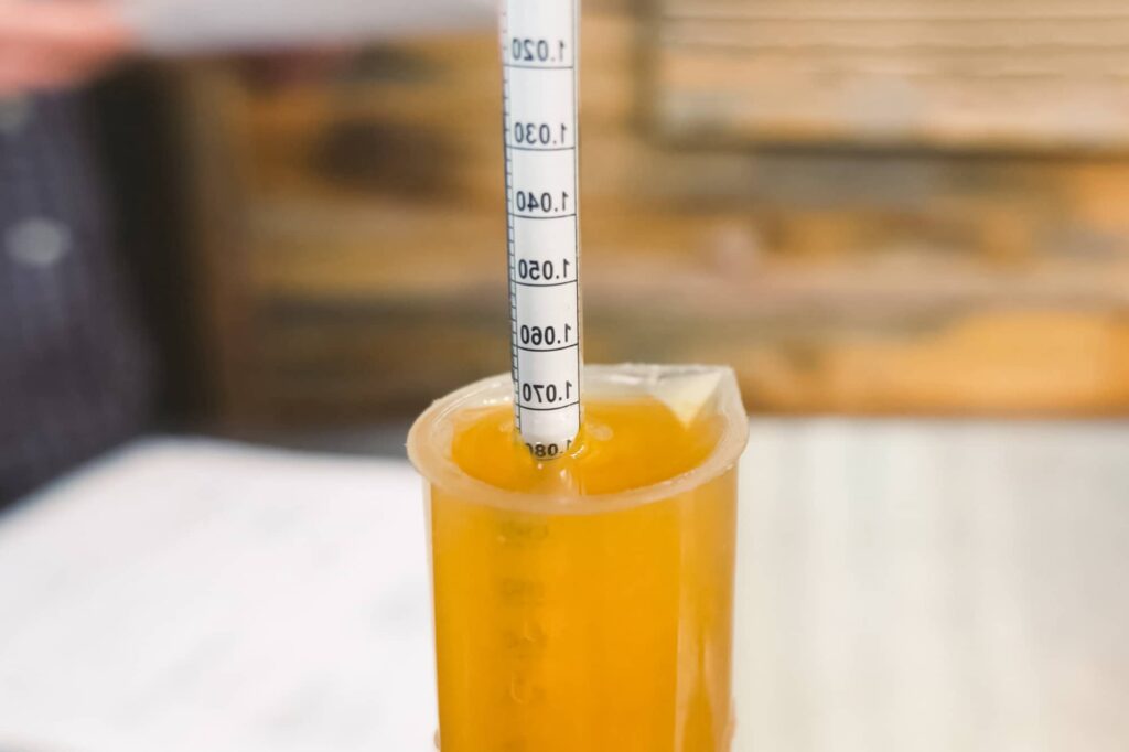 Best pH Meter For Brewing