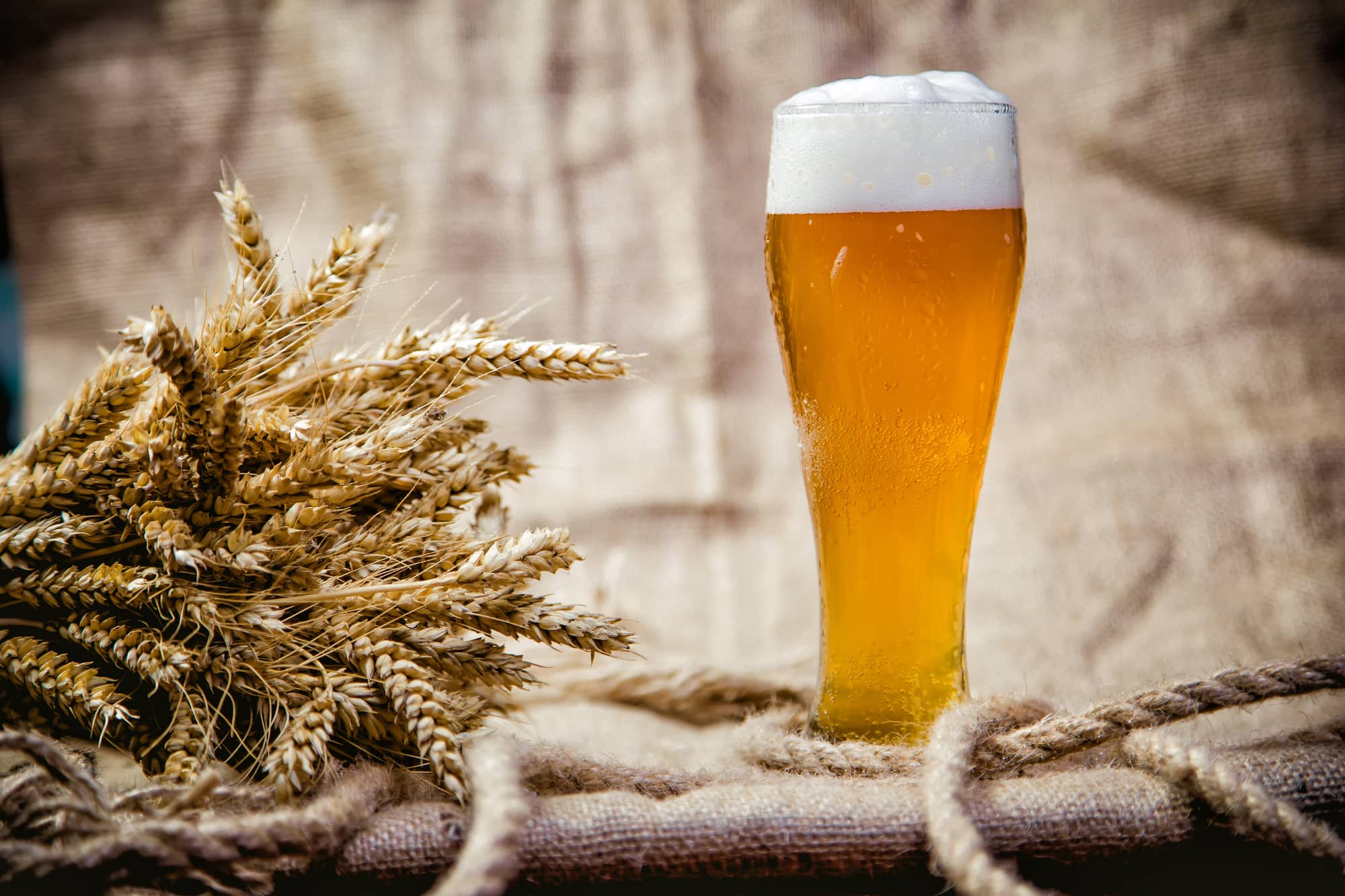 How To Make Wheat Beer