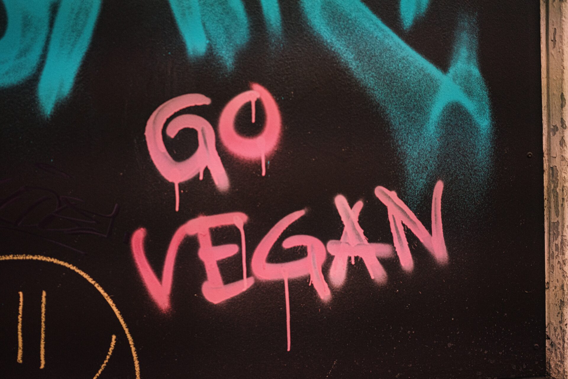 the inscription "Go Vegan" on a black board