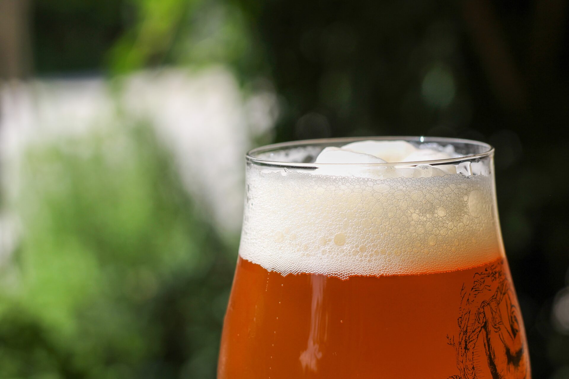 Close-up of a glass of beer with a white layer of foam, against a blurred background of green trees