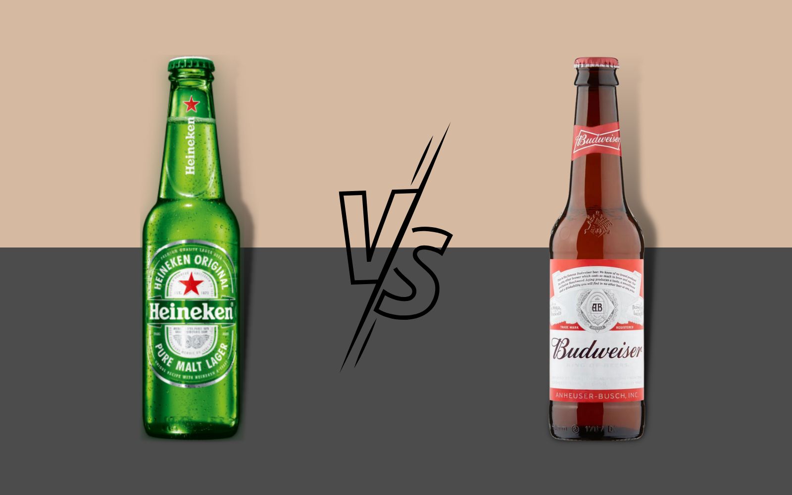 Heineken vs Budweiser
