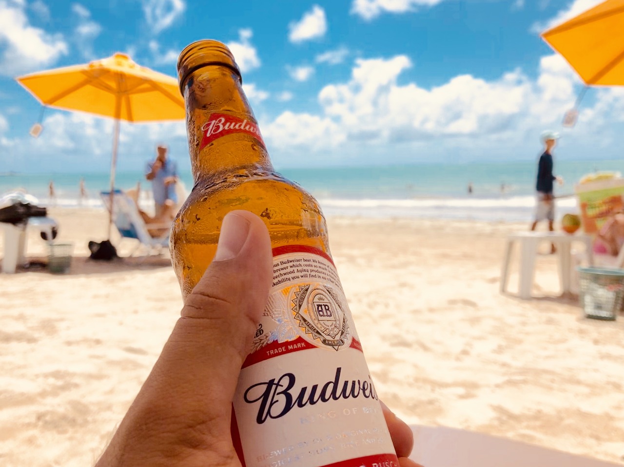 man on the beach holding a glass bottle of Budweiser beer