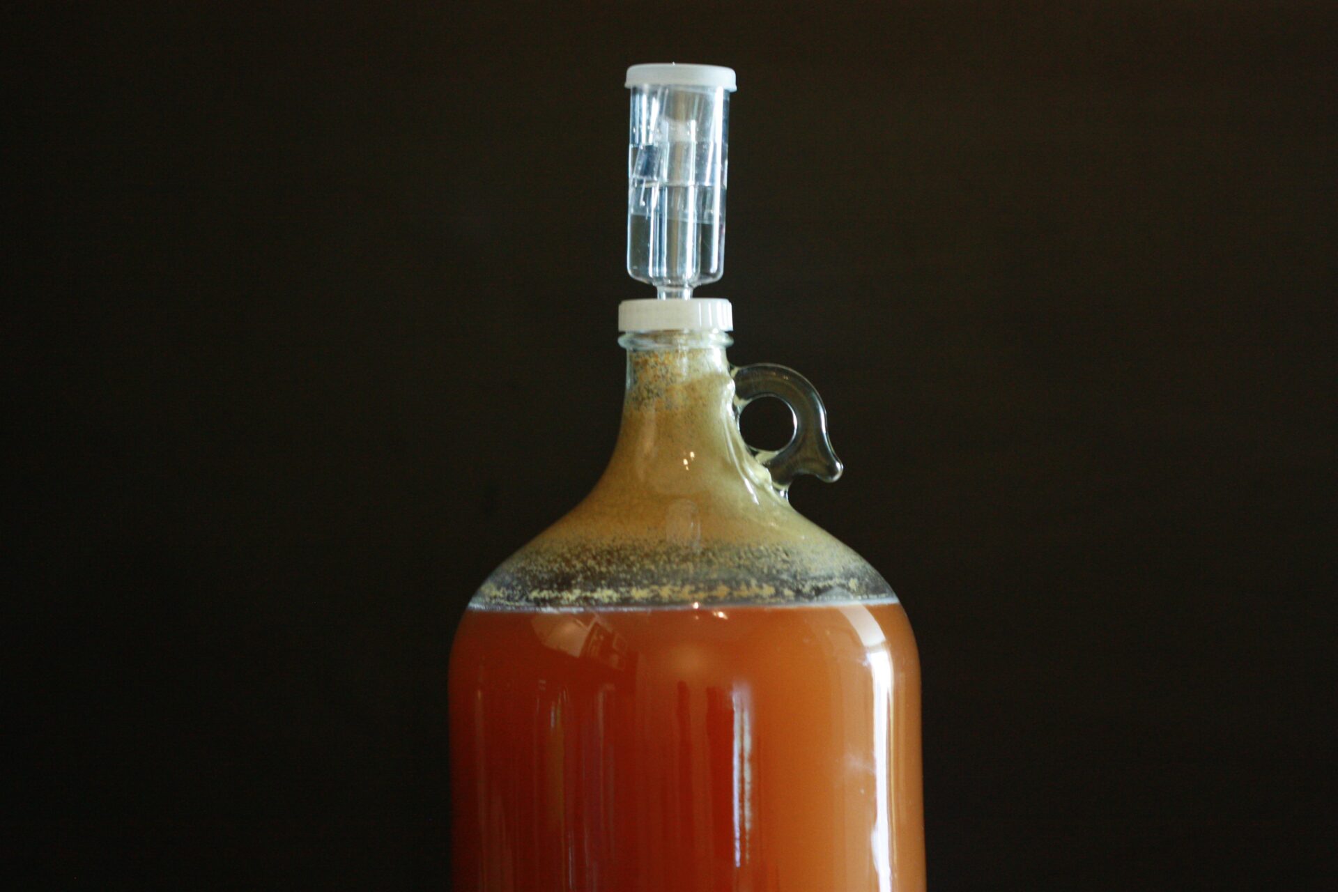 bottle of mead with fermentation airlock 
